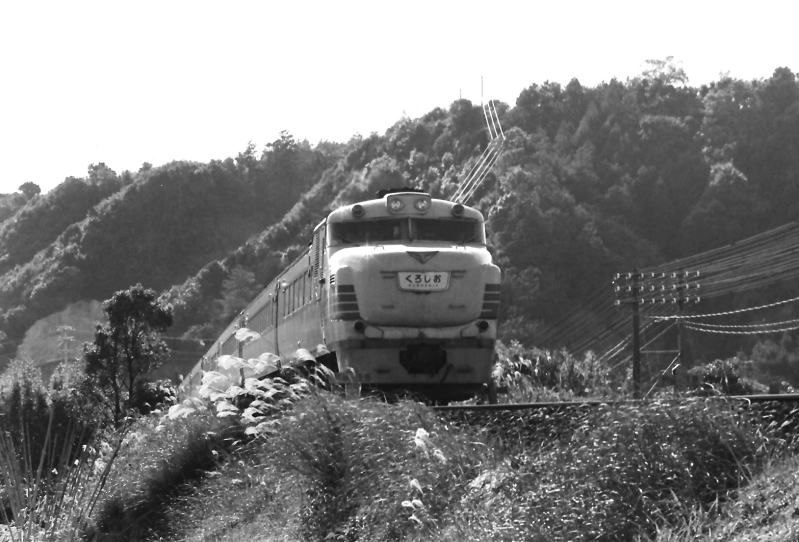 昭和４７年１０月　キハ８１の特急「くろしお」