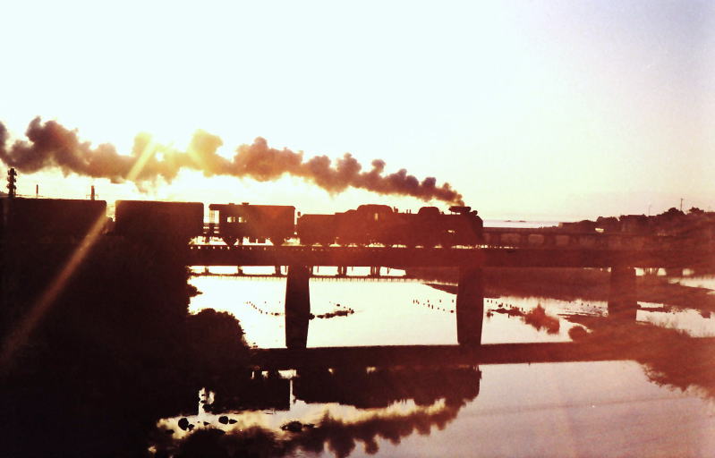 紀勢本線下里　初日の中を行くＣ５８が牽く一番列車。