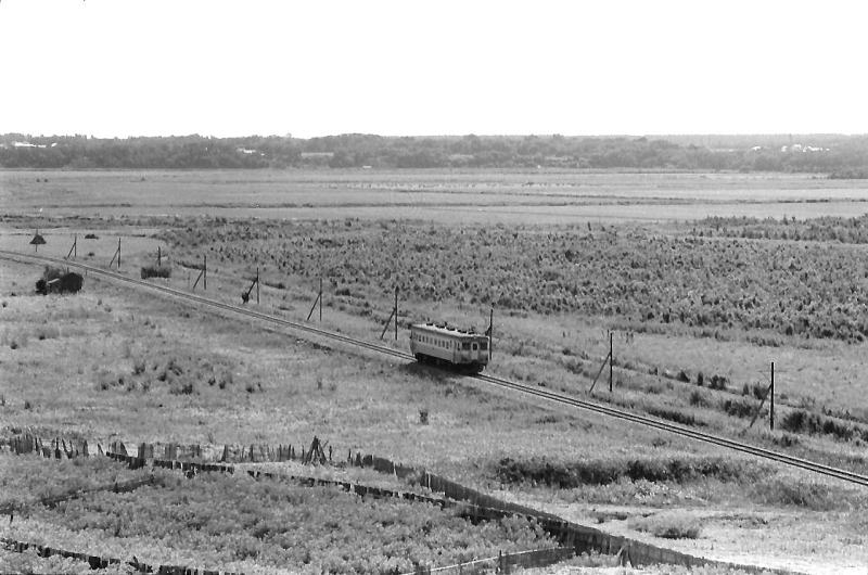 昭和４６年８月　釧網本線止別付近　原野の中を行くキハ２２