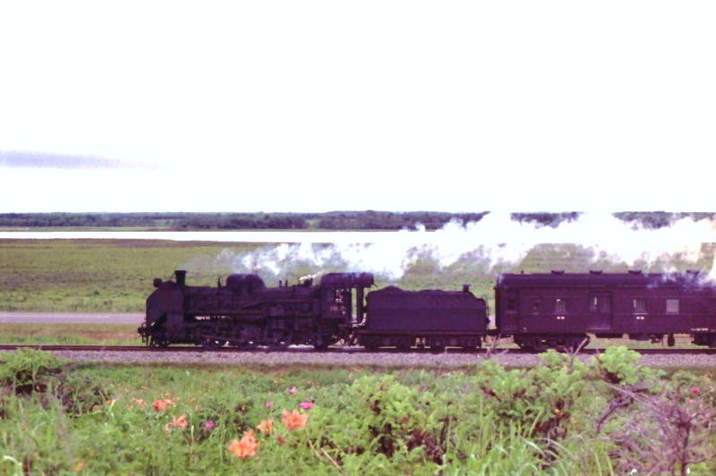 昭和４４年７月　釧網本線原生花園　Ｃ５８が牽く列車