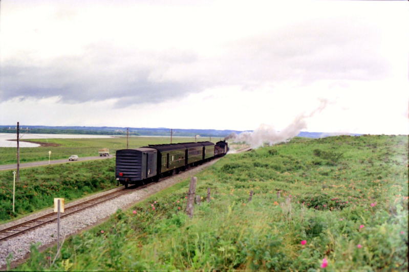 網走に向けて走って行く混合列車