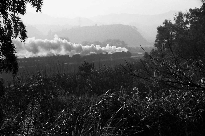 掖上・吉野口間　朝の和歌山市行き