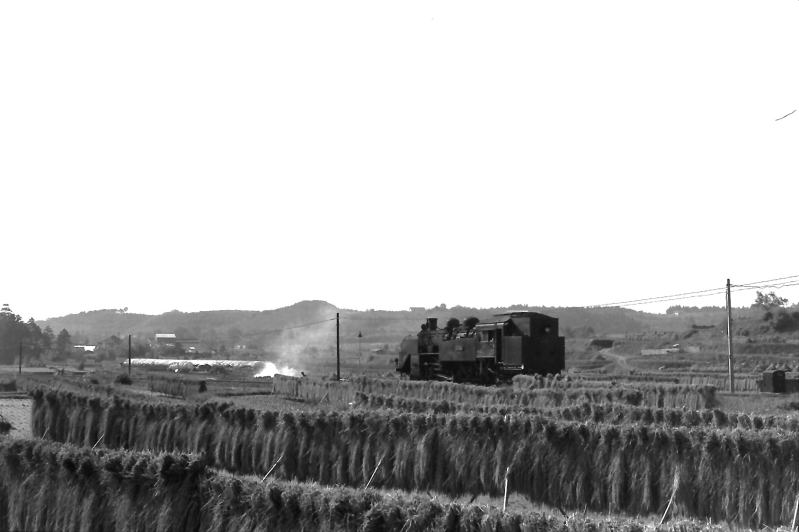 北宇智へ向かって坂を下るC11-324単機