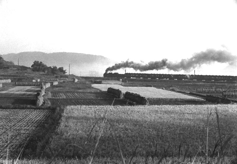 C58牽引の朝の王寺行き。掖上にて。