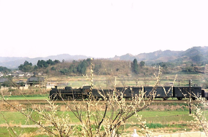 C58-233の牽く貨物列車。和歌山線　掖上・吉野口　間