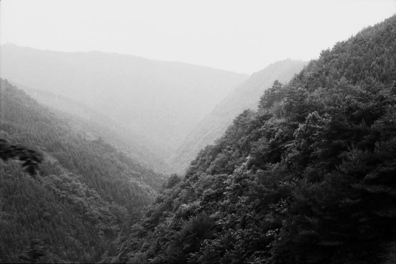 下までよく見えない中辺路の深い谷