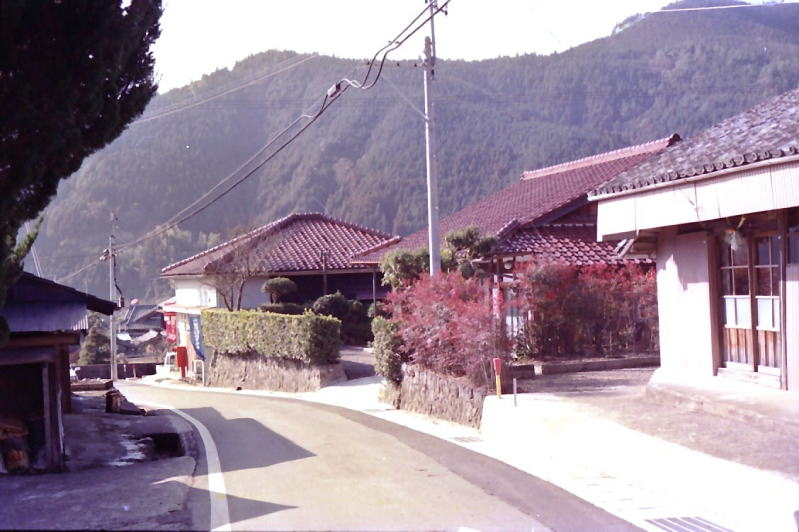 近露の停留所から少し本宮よりに上がったところ。