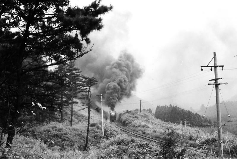 中在家を出て加太トンネルに向かって登って来るＤ５１