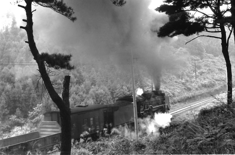 横を通り過ぎるＤ５１