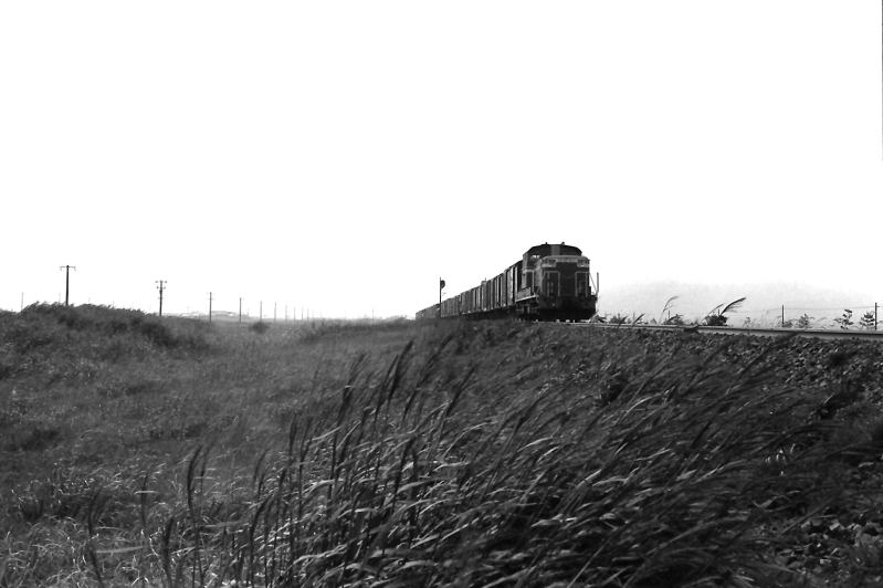 昭和４９年９月　函館本線山崎駅付近を行くＤＤ５１けん引の貨物列車
