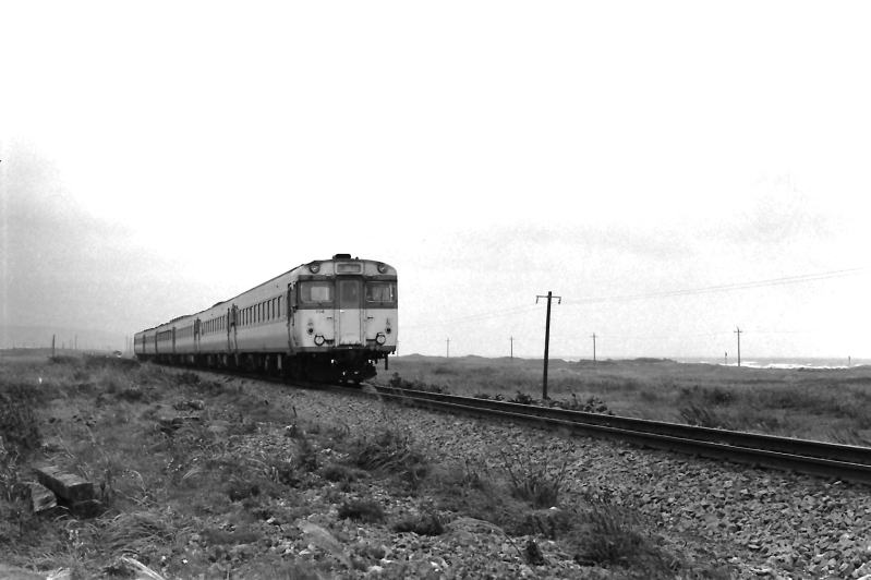 広い海岸線を行くキハ５６の急行すずらん