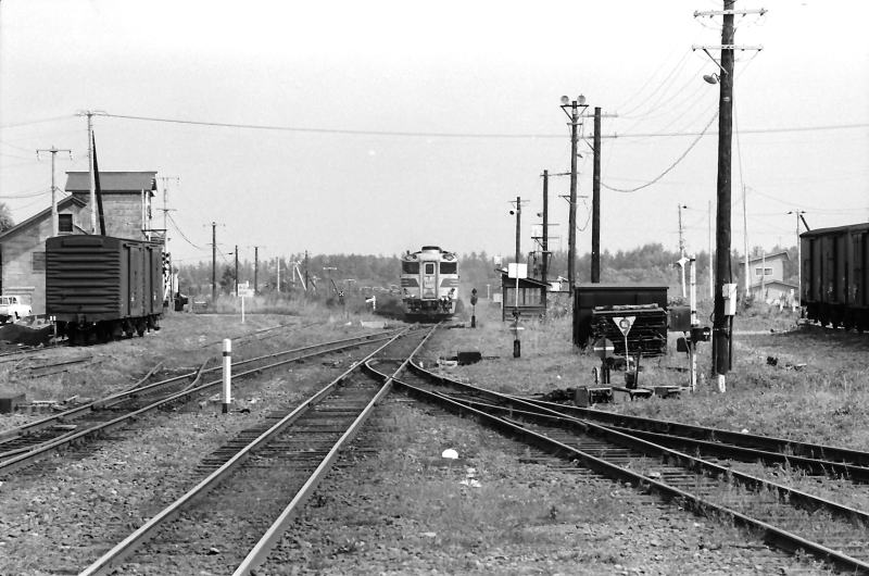釧路へ向けて走って行く特急おおぞらの後部