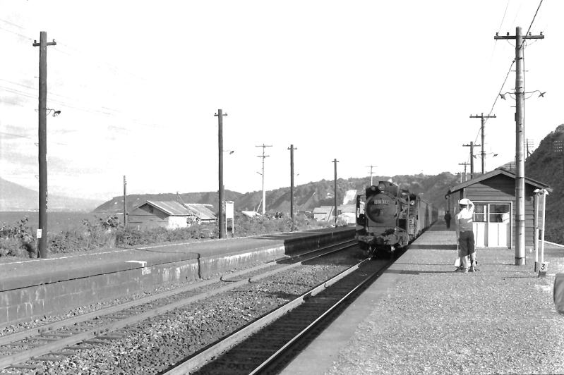 昭和46（1971）年8月　函館本線石倉駅　D51が引く下りの長万部行き普通列車