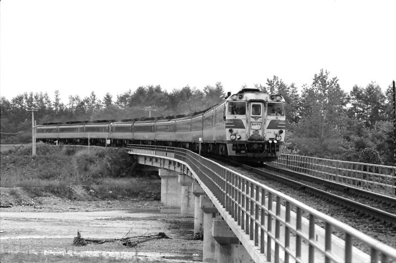 十勝川の支流を渡る上りの特急おおぞら