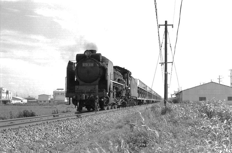 Ｄ５１７１９が牽く自動車専用貨物