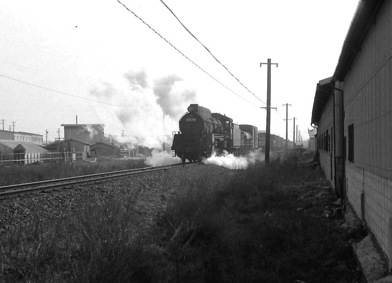 吹田機関区のデフなしＤ５１ナメクジ