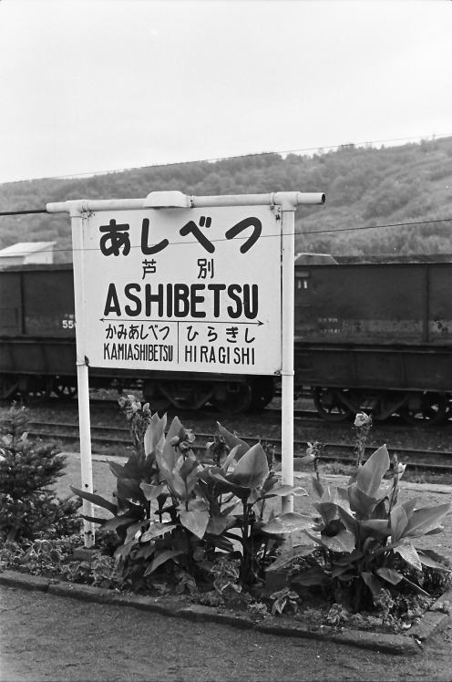 カンナが植えられていた芦別駅ホーム