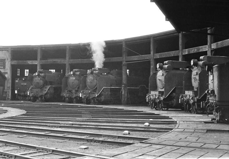 新見機関区の扇形車庫にずらりと並ぶＤ51とＣ58