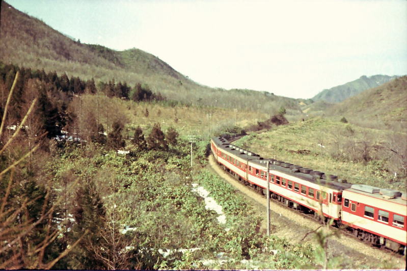 カラーの急行ちどり