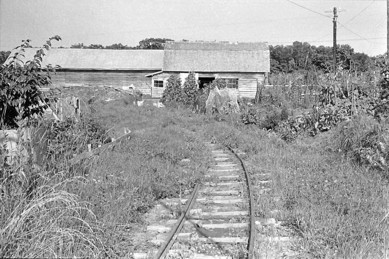 奥行臼からでて来たところの762ミリの線路。