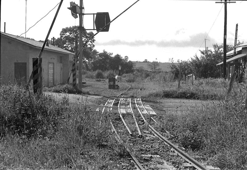 鉄道を遮断するようになっている奥行臼の踏み切り。