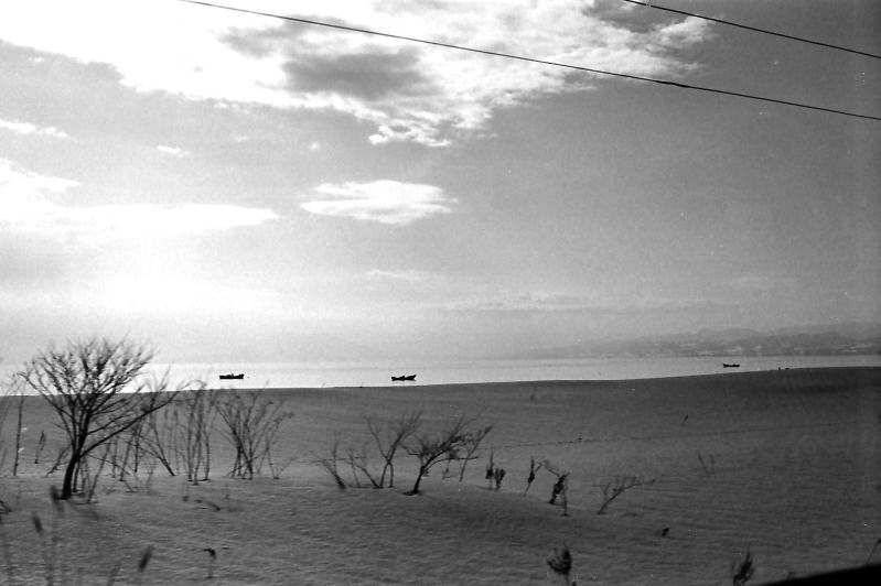 朝の函館本線国縫付近　噴火湾