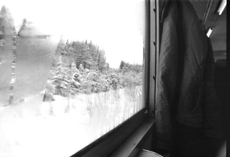 奥羽本線新庄付近　急行「月山」から見た雪景色