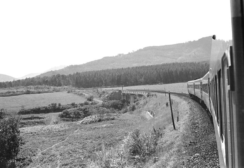 新得に向かって峠を下る急行「狩勝」　　気分は爽快～