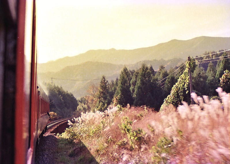 紀勢本線　三瀬谷～滝原　　このままずっと乗っていたい気分 