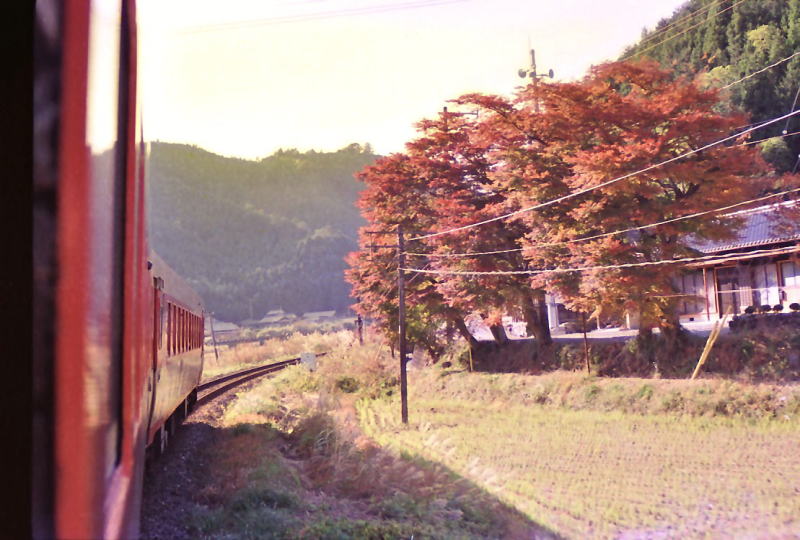 同じ３３１Ｄの車窓から。伊勢柏崎付近