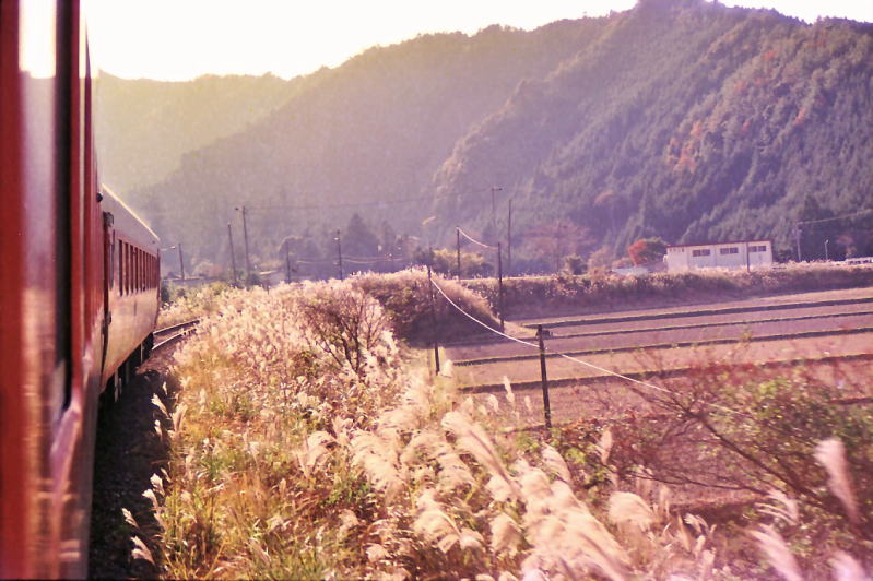 大内山に近づいた３３１Ｄ