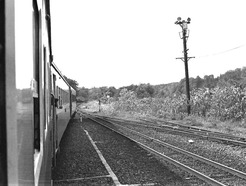 上の写真のとなりのネガです。