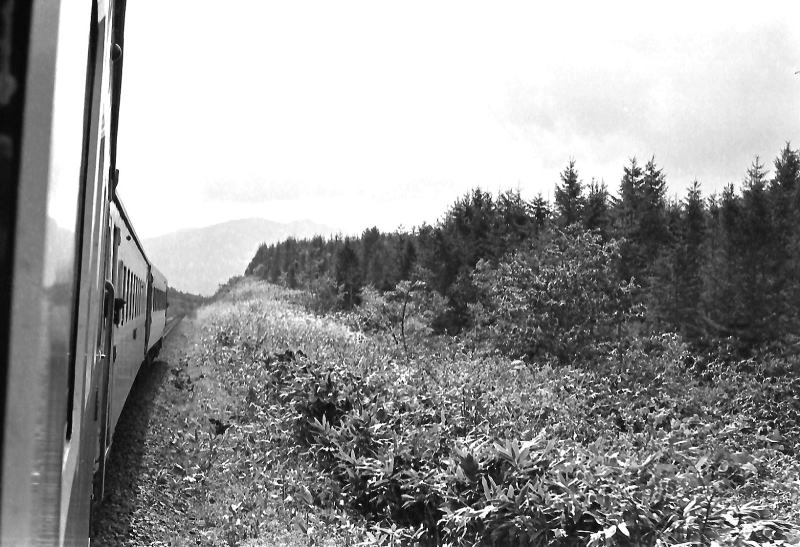 昭和４９年９月。函館本線　倶知安前後の山線の車窓風景