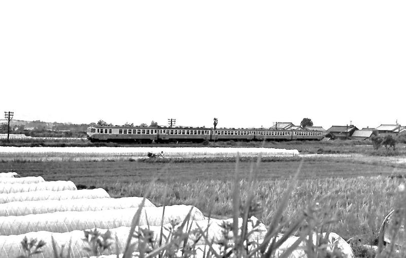 混ざりっ気なしのキハ１７系５両編成