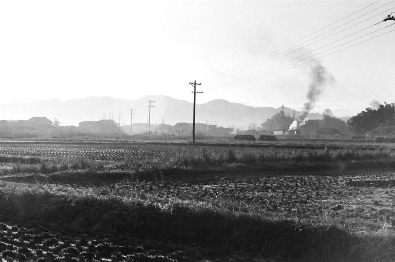 和歌山線掖上駅付近の田んぼと集落
