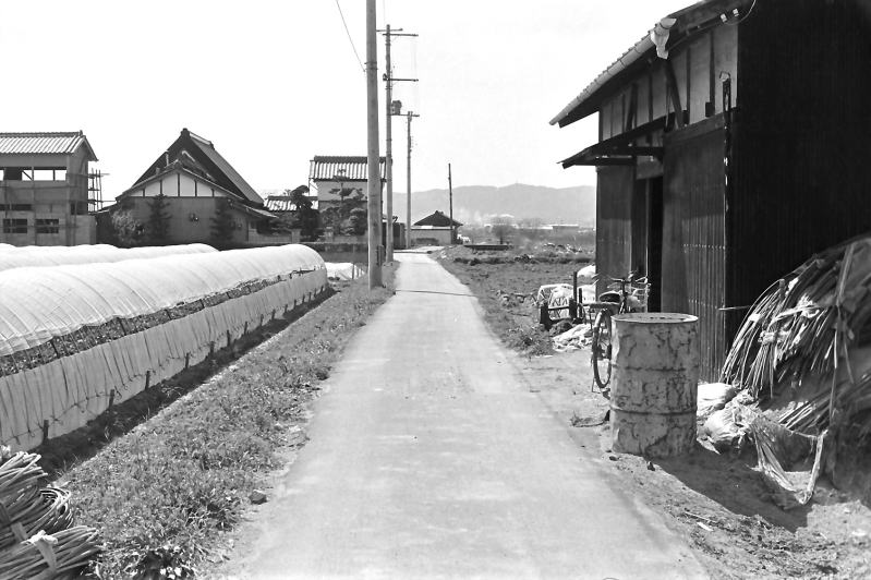 昭和の風景写真　稗田の村から西の方を見る。向こうの山は矢田丘陵。