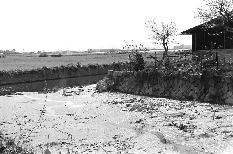 稗田町を囲む堀。