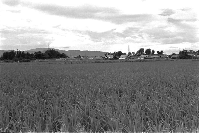 昭和の風景写真　近鉄天理線　二階堂駅付近から西の方を見る