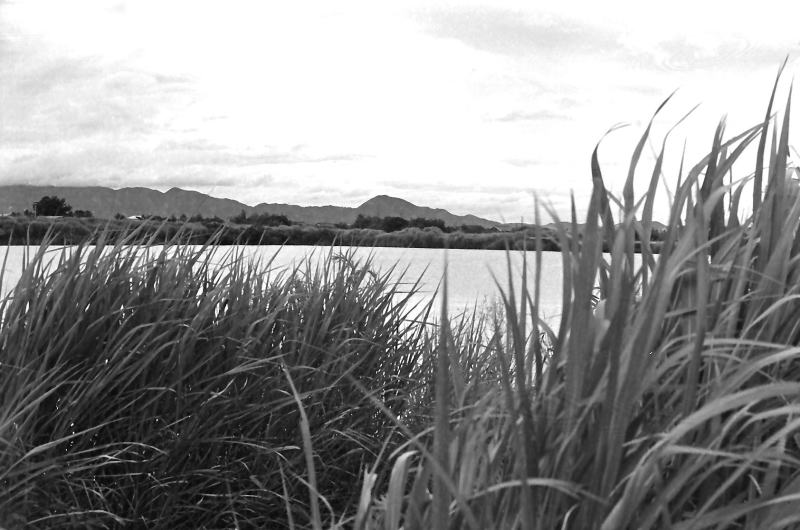 昭和の風景写真。　天理市柳本あたりのため池。