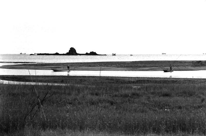 昭和の風景　白魚漁