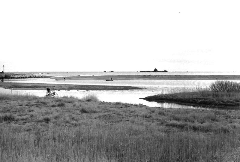 太田川の河口。白魚漁。