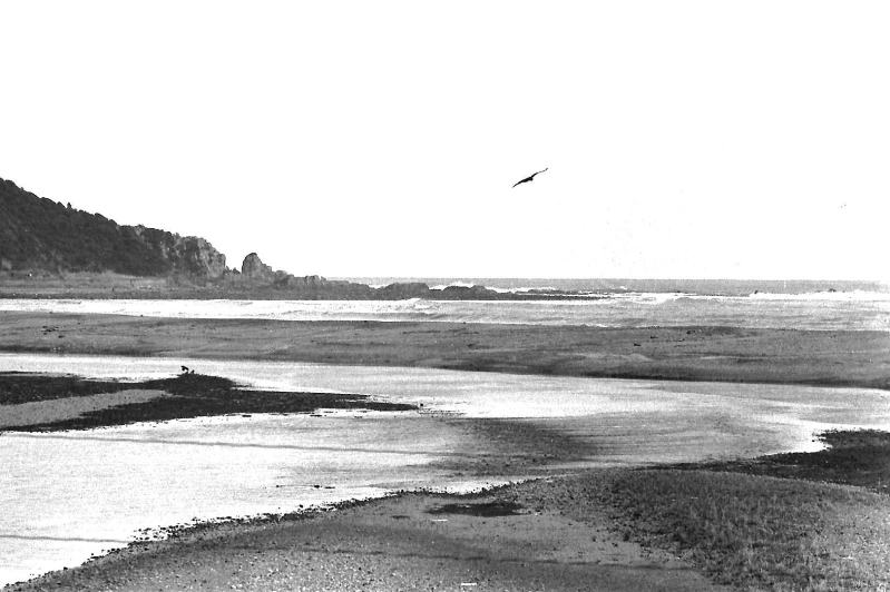 昭和の風景　太田川と大浜