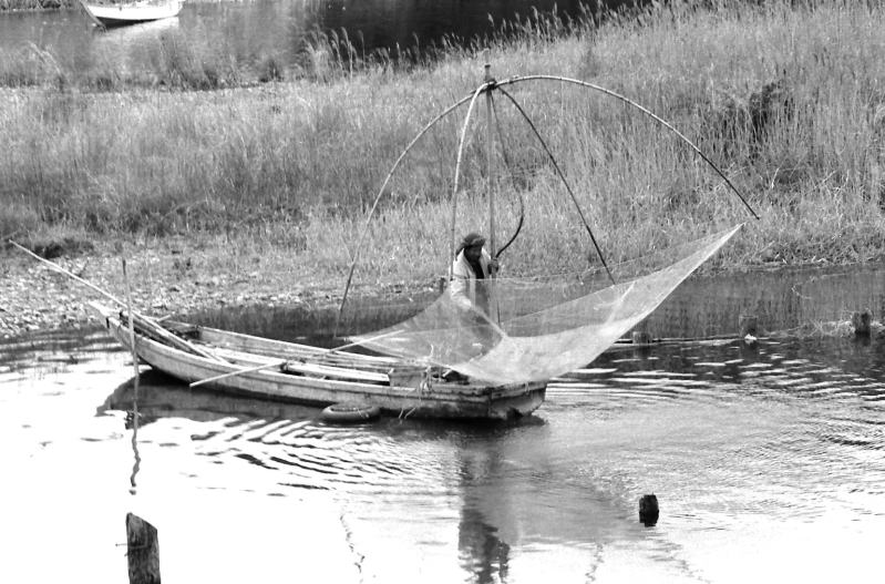 白魚漁をする漁師さん