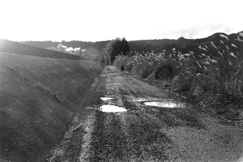 天満の集落へ向かう堤防沿いの道。