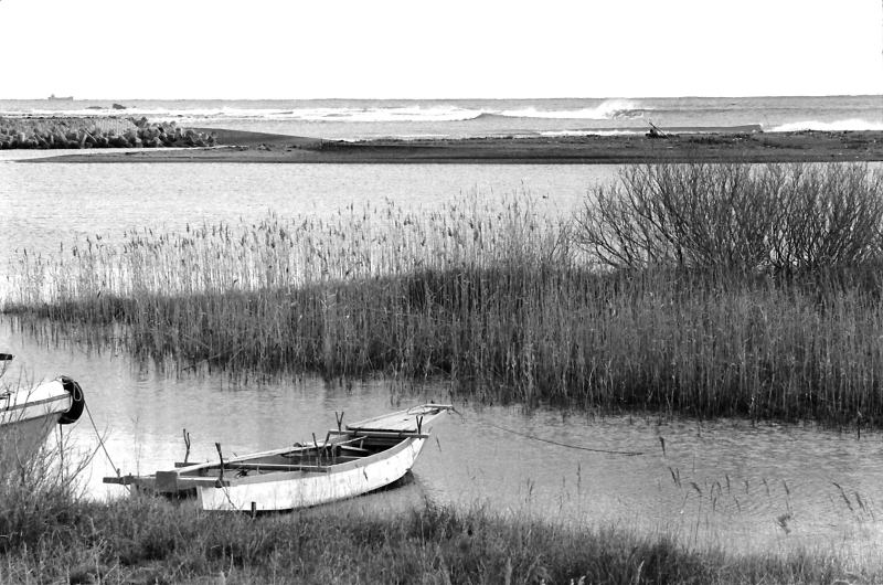 冬の季節風で波頭が立っている大浜。
