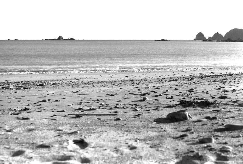 べた凪の太平洋。