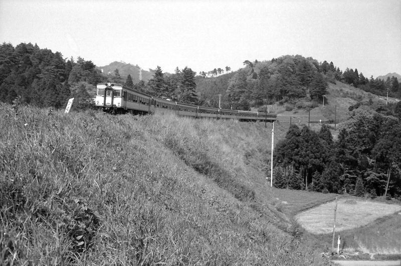 キハ55系主体の名古屋行き急行しらはま