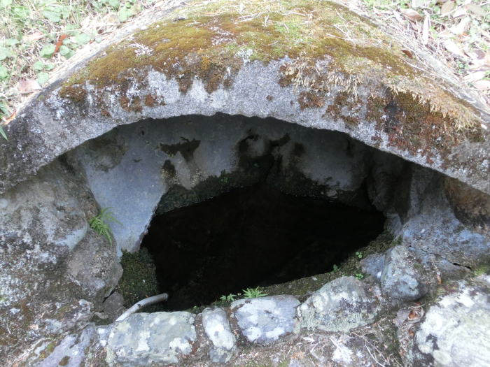 お堂の裏にある弘法大師井戸