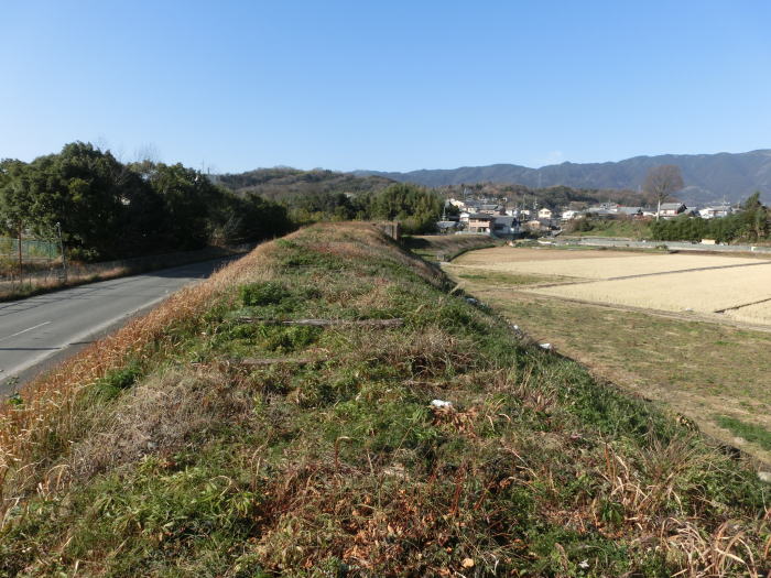 枕木だらけの廃線跡の築堤