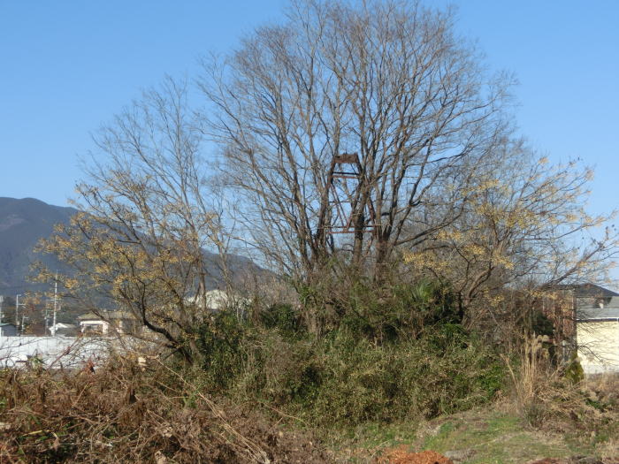 廃線跡の先に見える櫓。